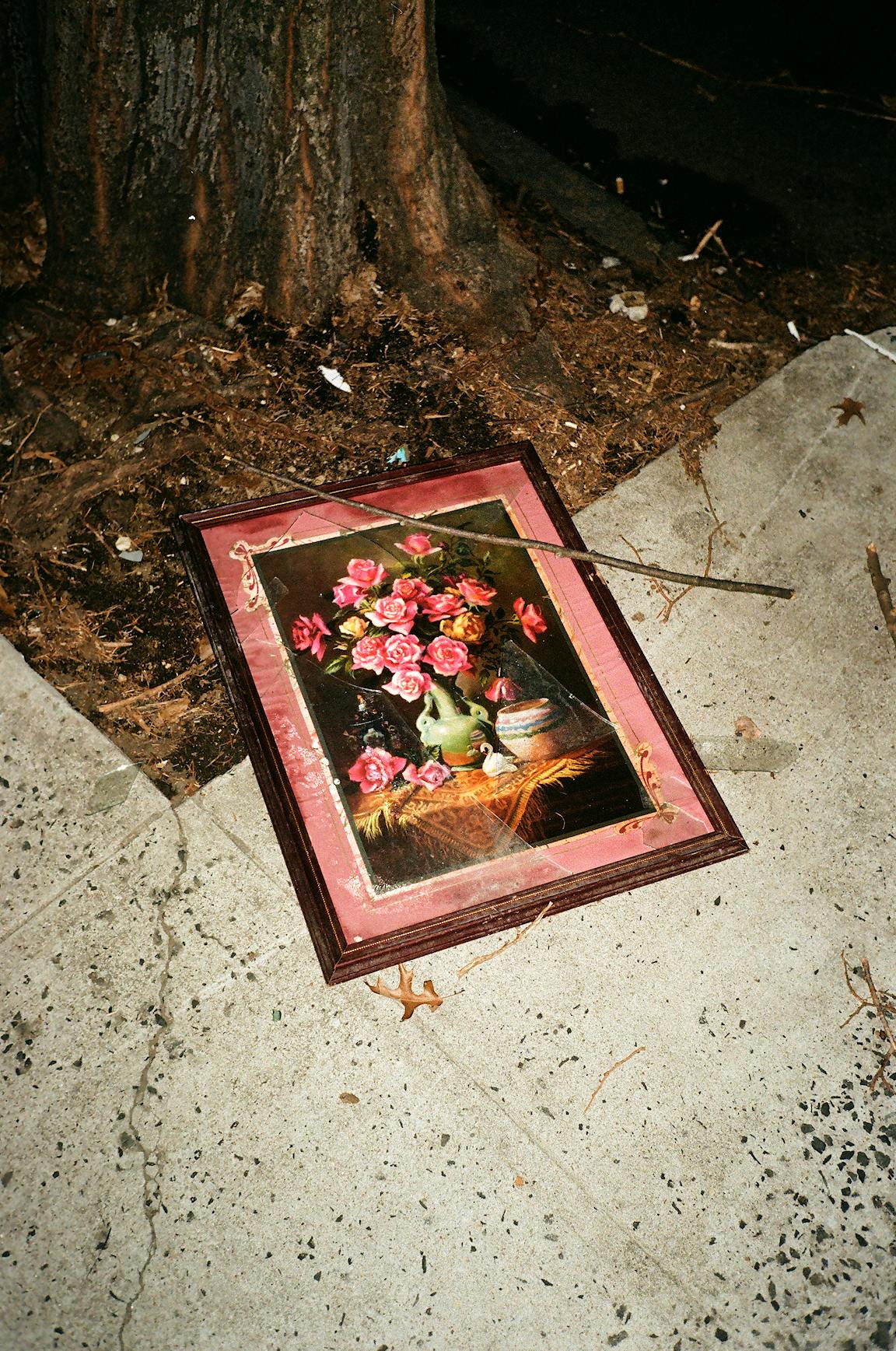 A framed photo of flowers rests at the base of a tree trunk.